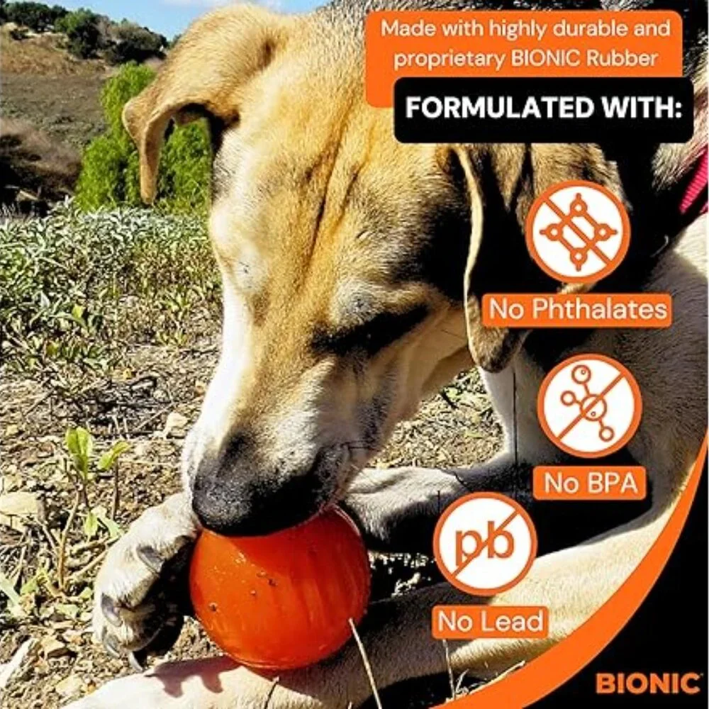 Bionic by Outward Hound Tough Dog‎ Ball | 2-Pack | Size Medium | NWT